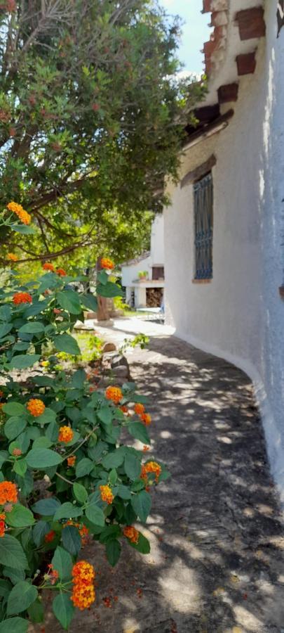Villa Viagramsci129 San Teodoro  Exterior foto